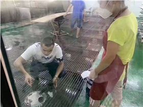 碧江辦公家具